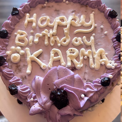 Dog cake 7
