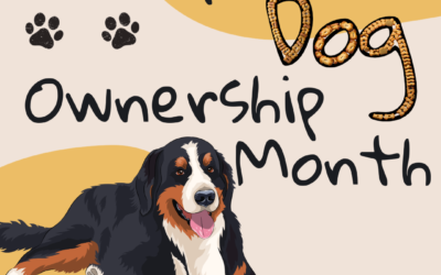 Celebrate Responsible Dog Ownership Month with Wags Bakery!