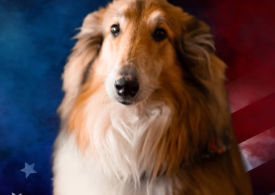 Paws & Patriots Photo Shoot: Dog Dad Edition